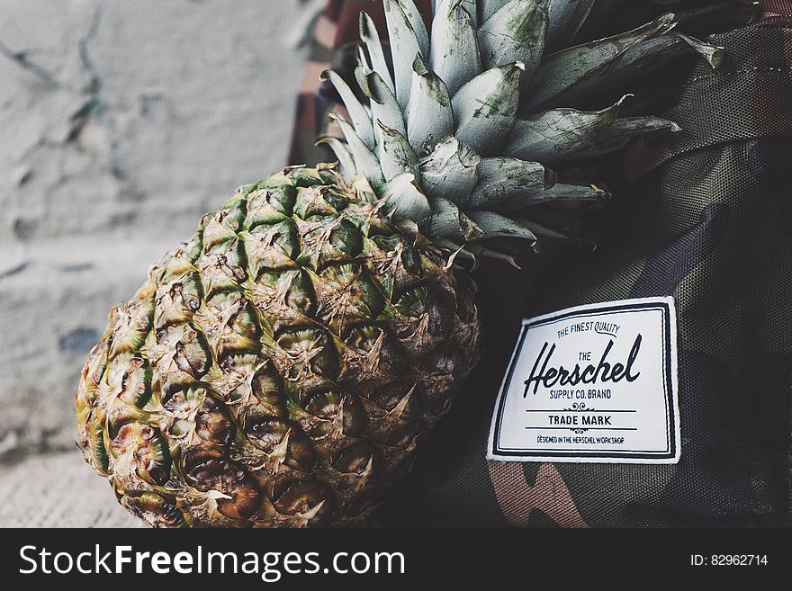 Closeup of a tropical pineapple resting on a backpack, tropical travel concept.