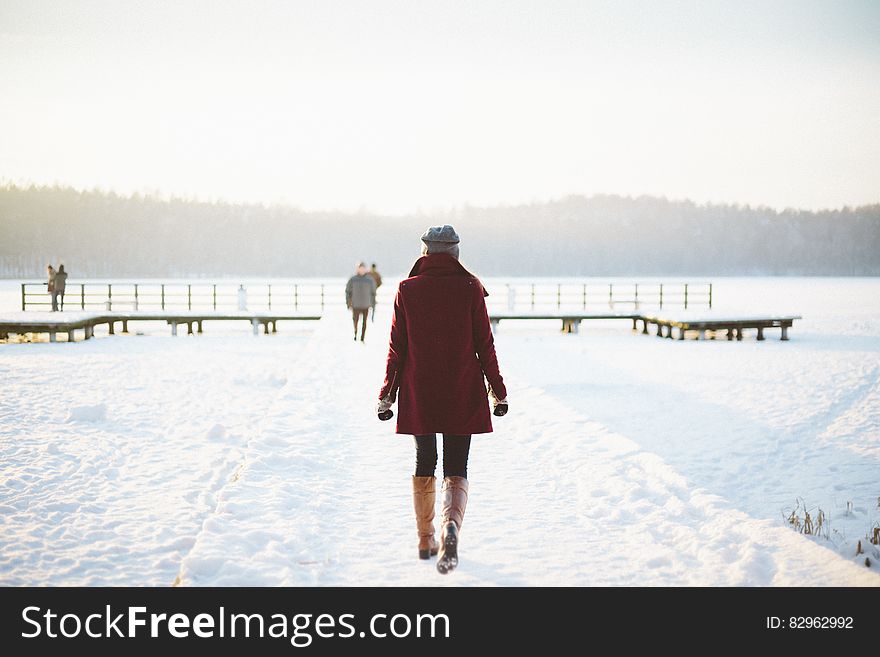 Rear view of woman walking in snowy landscape with people, frozen lake and pier in background, winter scene.