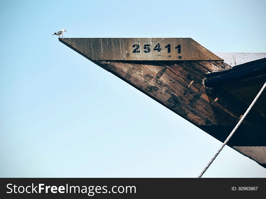 White Bird on Brown Wooden Frame