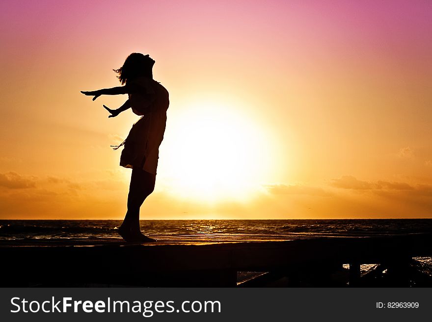 Lady in Beach Silhouette during Daytime Photography