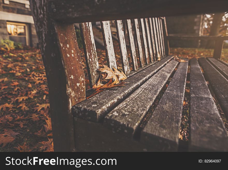 Close up of empty wooden bench on sunny fall day. Close up of empty wooden bench on sunny fall day.