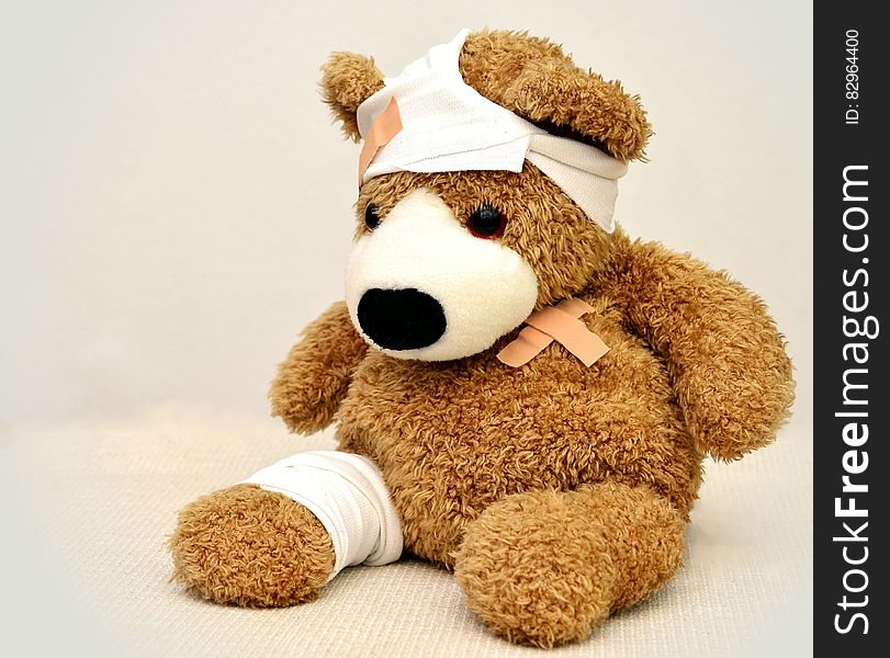 Brown and White Bear Plush Toy