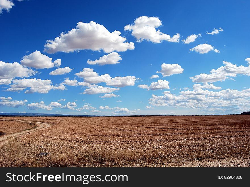 Brown Field and Blue Sky
