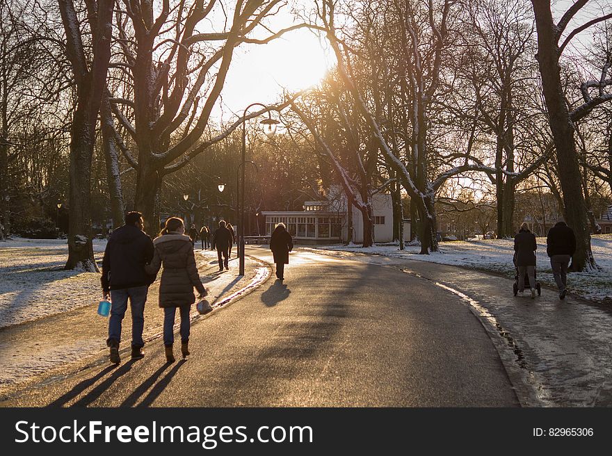 People walking on sidewalk lined with bare trees on winter day. People walking on sidewalk lined with bare trees on winter day.