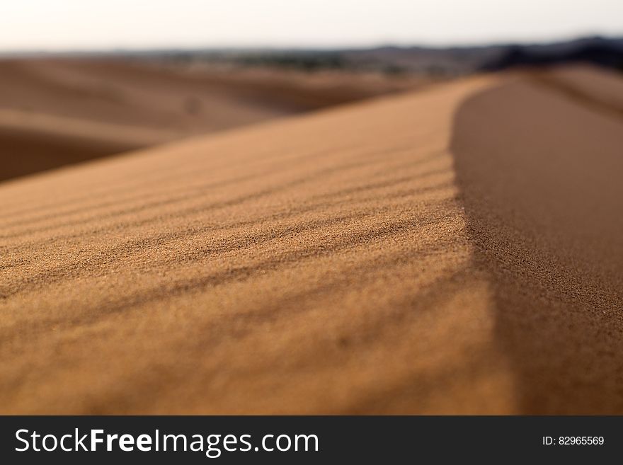 Close up of patterns and textures of sand in sunny desert. Close up of patterns and textures of sand in sunny desert.