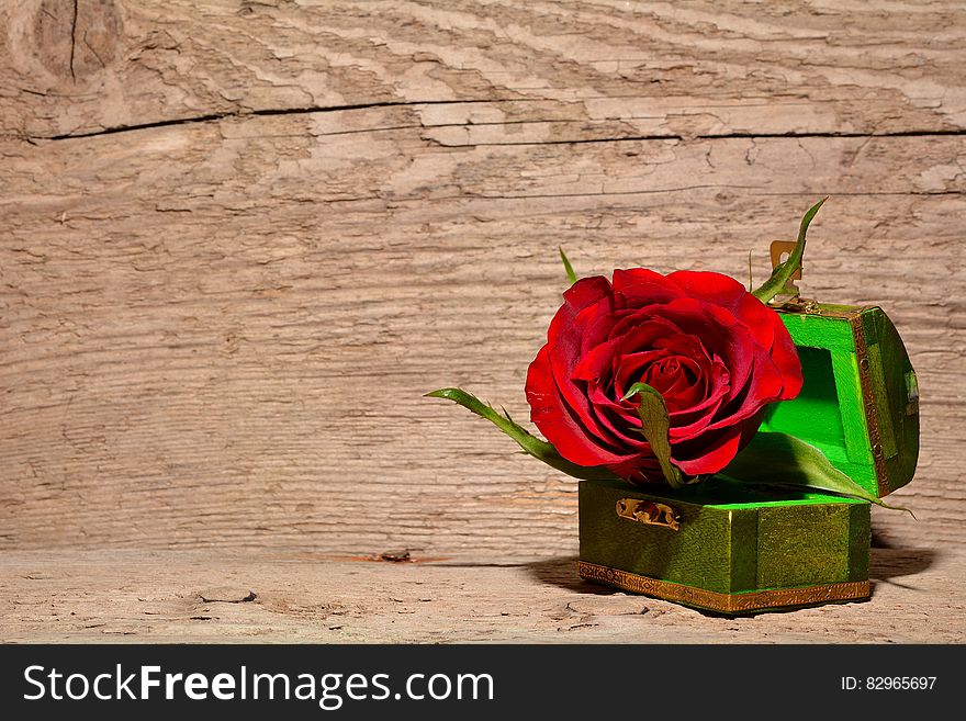 Red and Green Rose Inside Green and Brown Chest Box