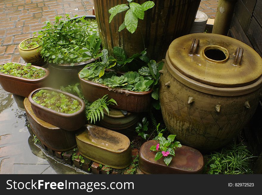 A garden with potted plants and ceramic pots. A garden with potted plants and ceramic pots.