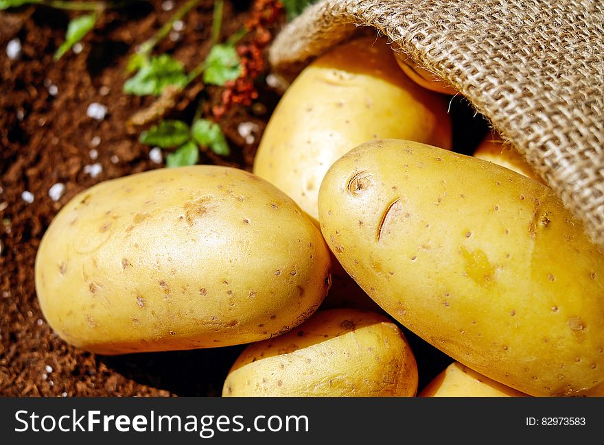 Closeup Photo of Potatoes