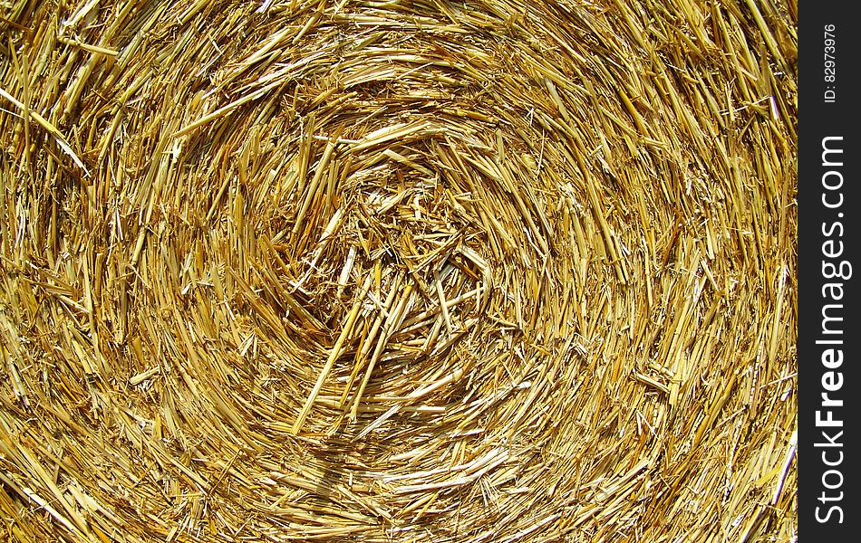Brown Rolled Hay