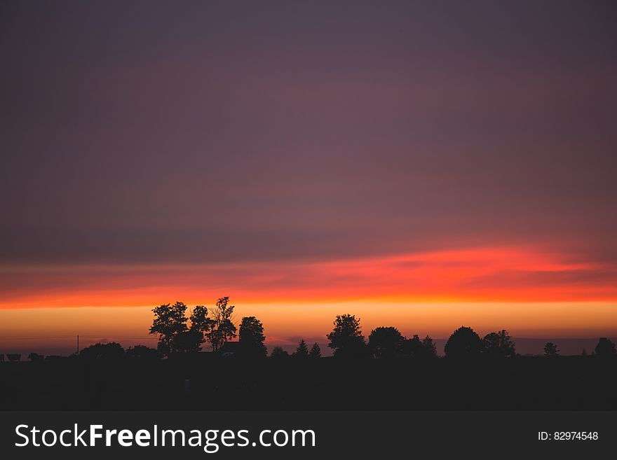 Silhouettes of Trees During Dawn