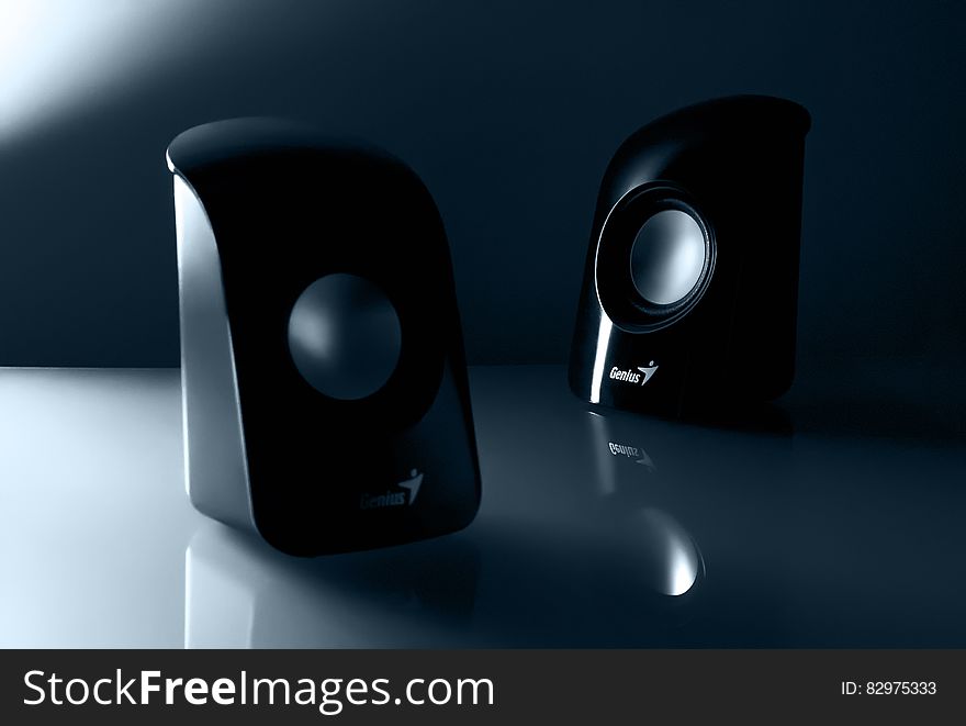 Genius Black Multimedia Speaker