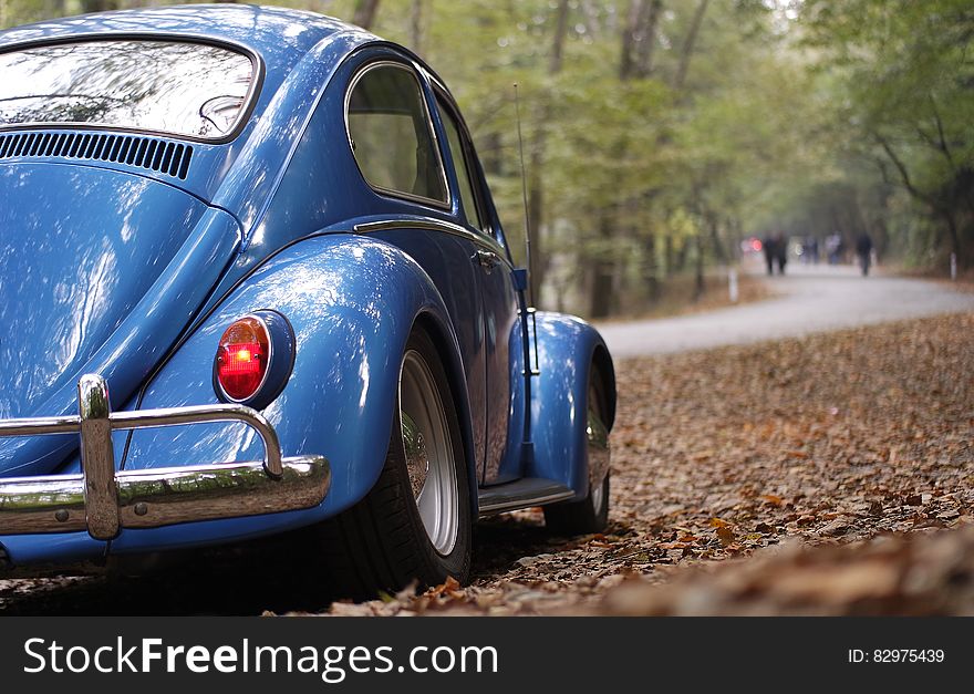 Blue Volkswagen Beetle Vintage Car Surrounded by Dry Leaves during Daytime