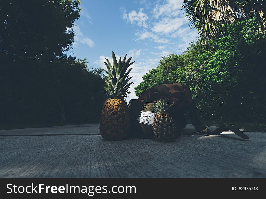 Pineapples Beside Backpack