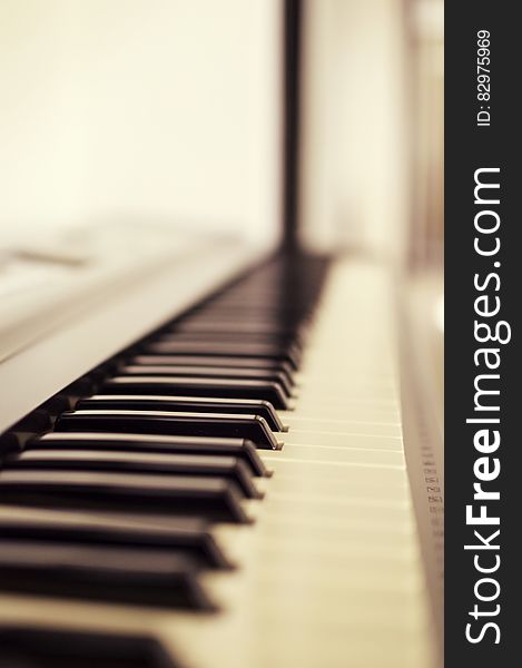 Macro Photo of Piano Keys