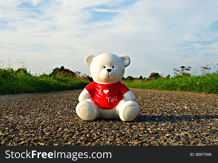 Ceramic teddy bear in red shirt on stone road outdoors on sunny day. Ceramic teddy bear in red shirt on stone road outdoors on sunny day.