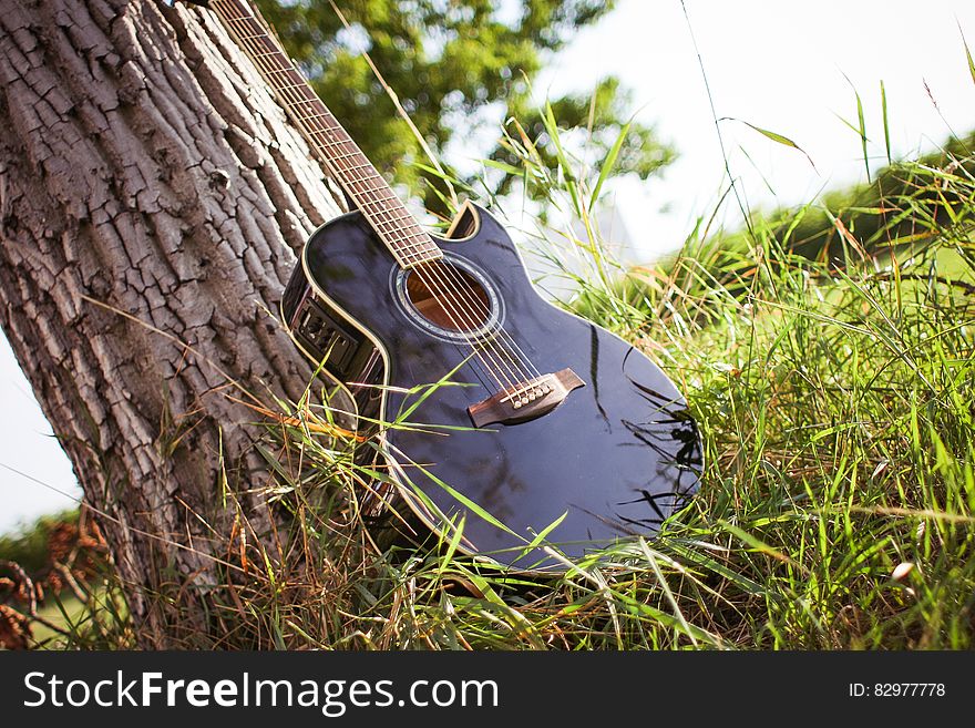 Black Acoustic Cutaway Guitar on Tree
