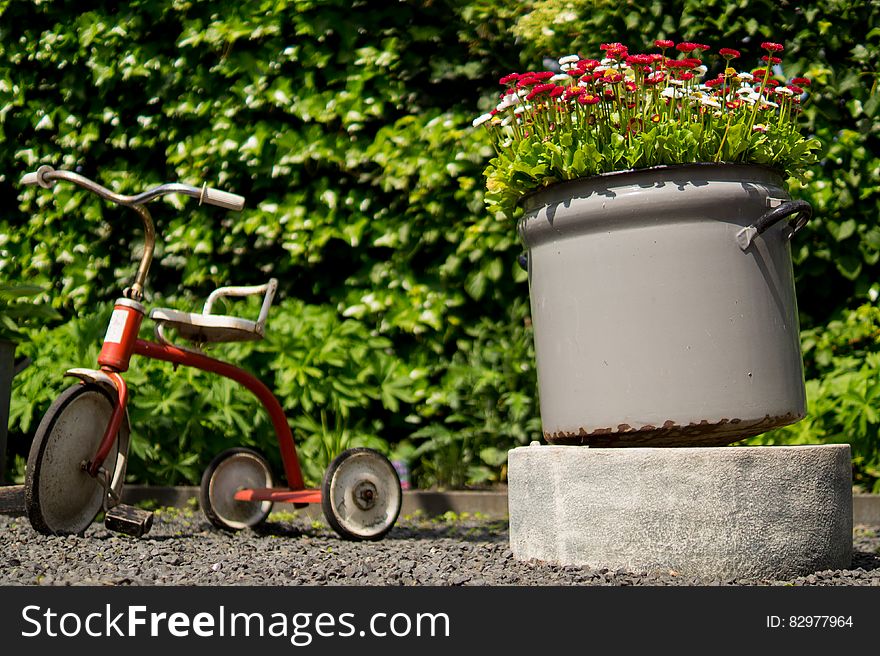 Kid's tricycle next to potted flowers in sunny garden. Kid's tricycle next to potted flowers in sunny garden.