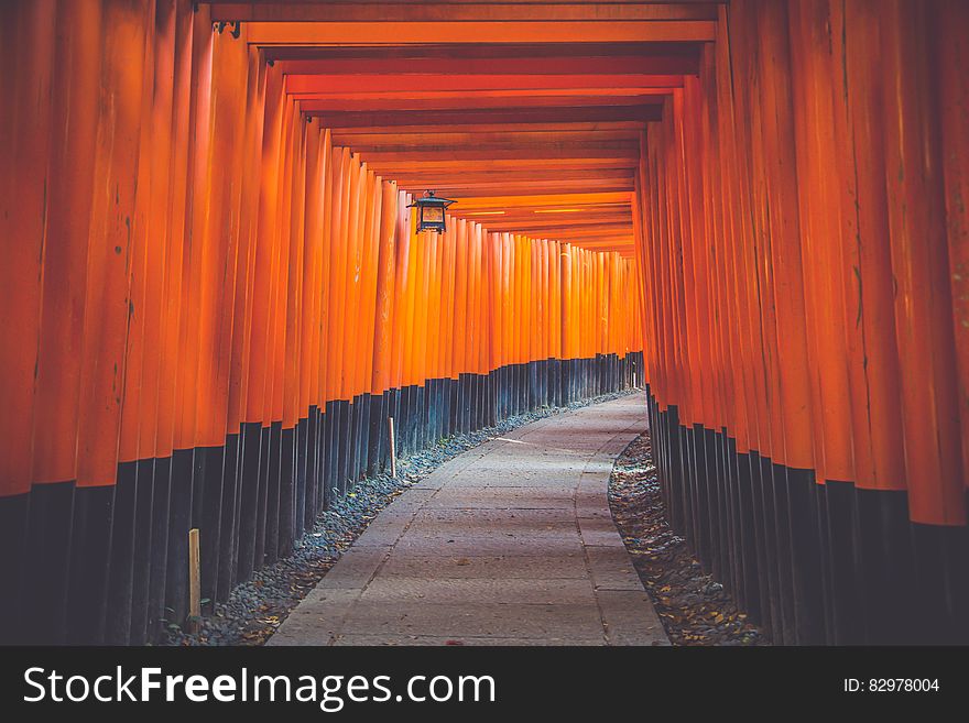 Hallway in Blue and Orange Wall Paint