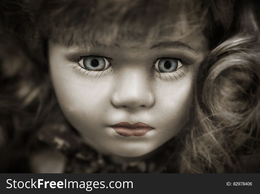 Doll With Grey Eyes and Brown Hair