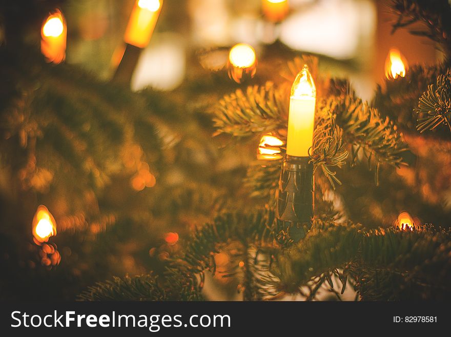 A Christmas tree with electric candle lights. A Christmas tree with electric candle lights.
