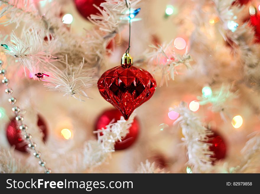 Close-up of Christmas Decoration Hanging on Tree