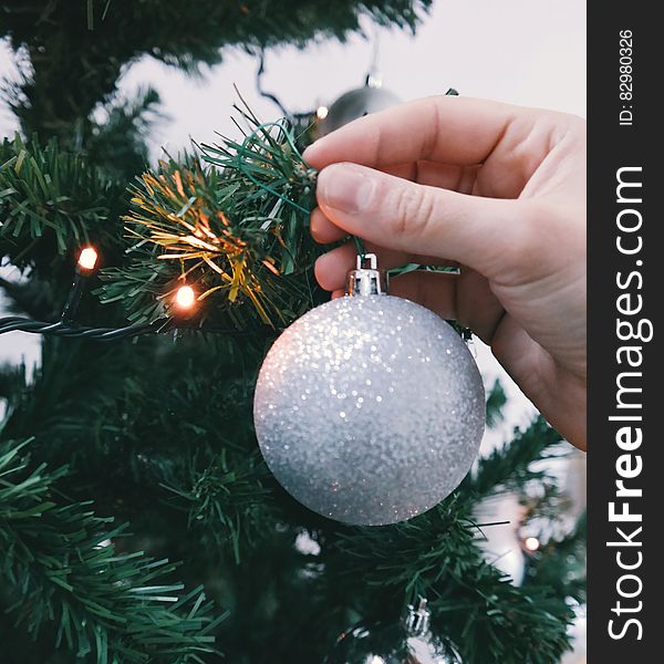 Close up of hand hanging white sparkling Christmas ball on tree. Close up of hand hanging white sparkling Christmas ball on tree.