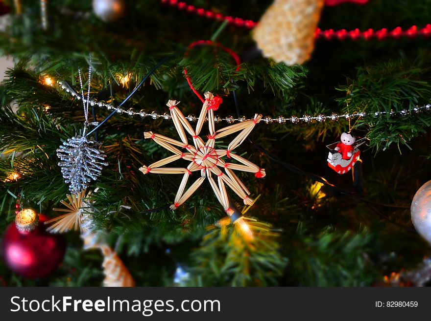 Close-up of Christmas Tree at Night