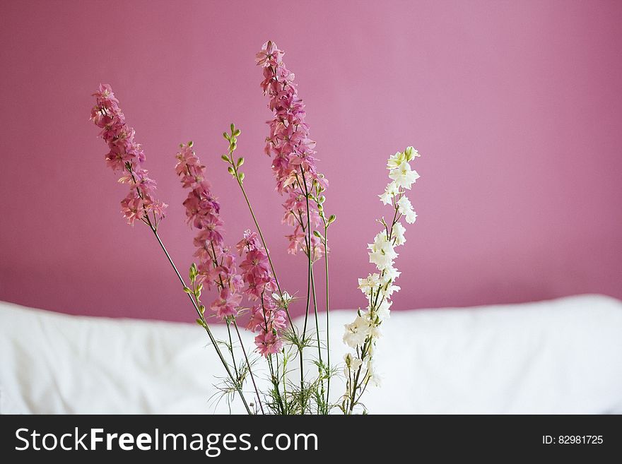 Decorative pink and white flowers and pink wall in the background.