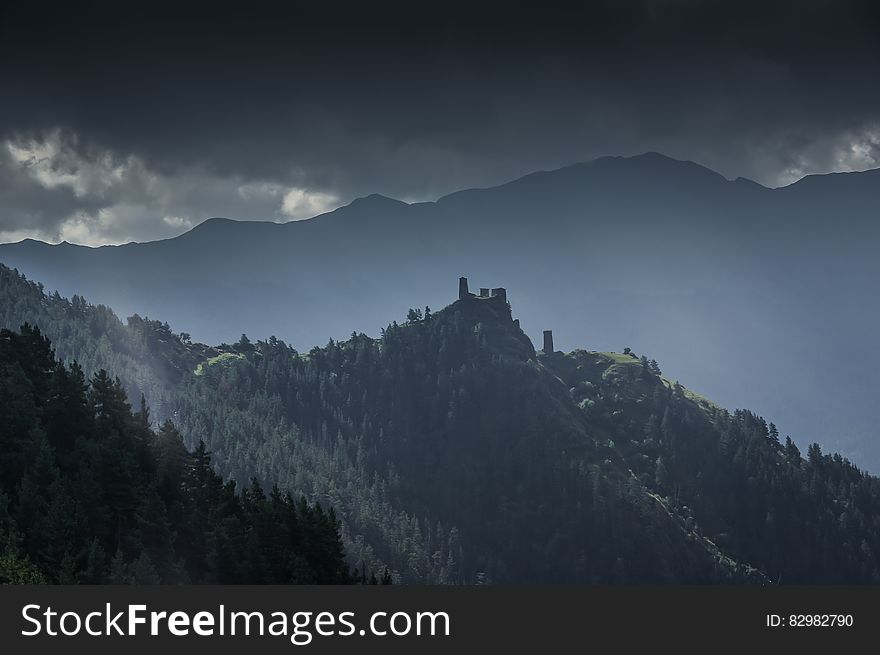 Landscape Photography of Forest Mountain