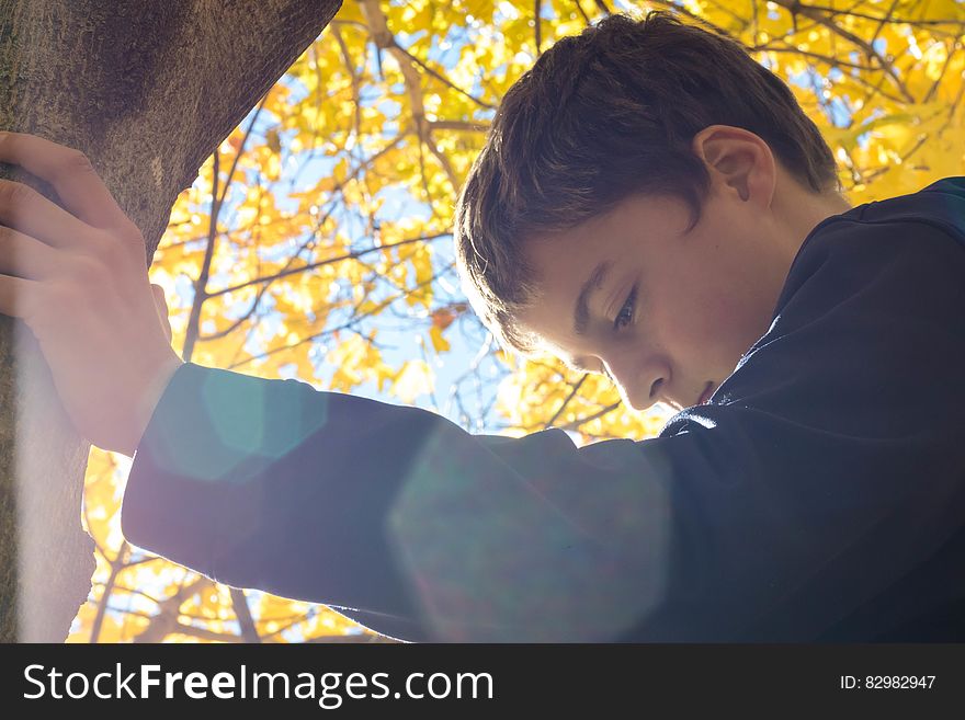 Boy Holding Tree Trunk Looking Down