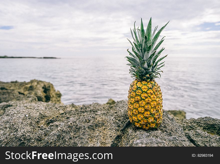 Fresh pineapple on rocky coastline.