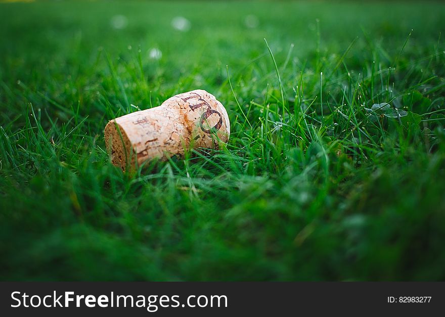 Close up of wine cork on green grass in sunny field.