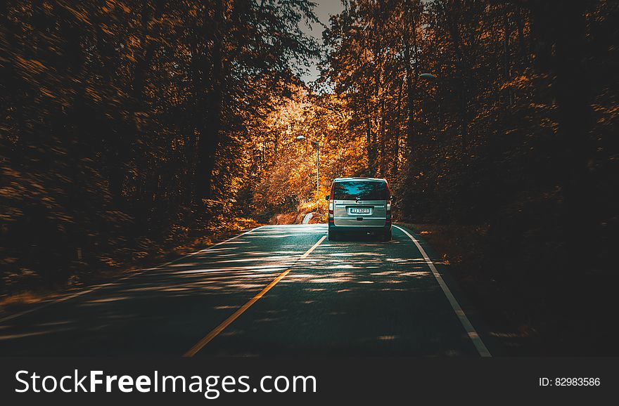 Silver Van Traveling on Highway Lined With Trees during Daytime
