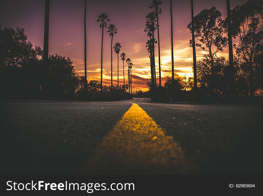 Road In City During Sunset