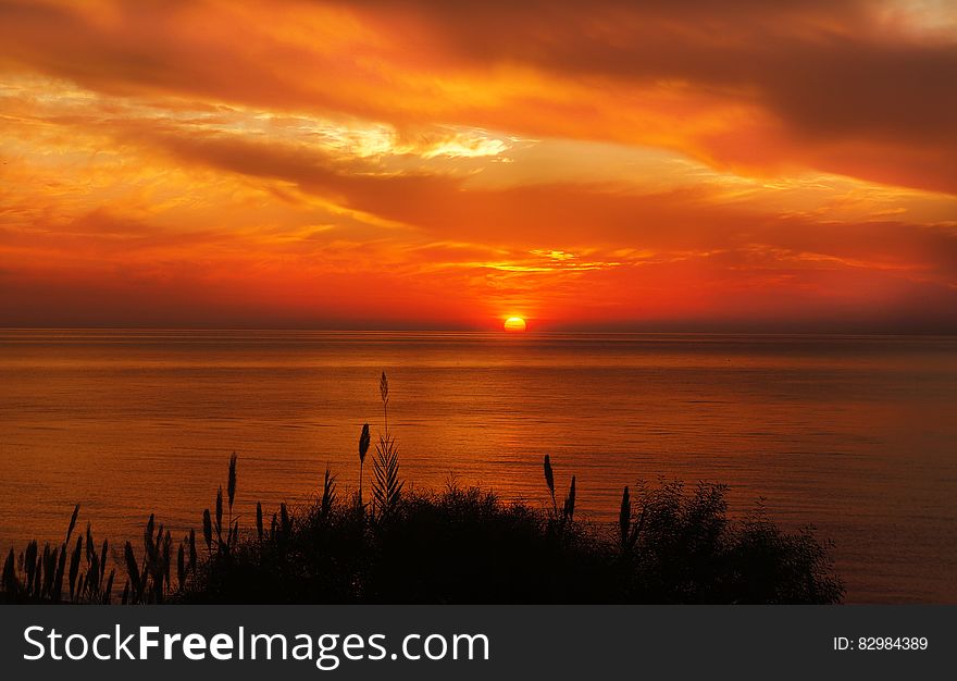 Hays Silhouette Near Ocean during Sunset