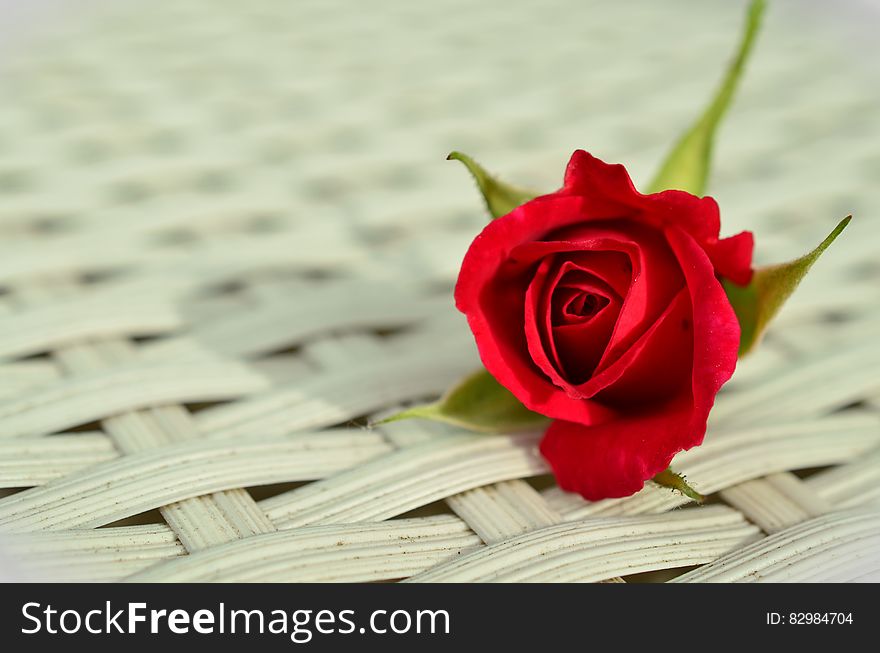 Red Rose On White Weaved Surface