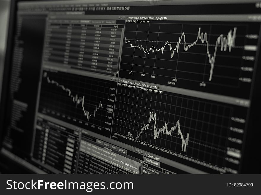 Charts for financial or stock trading software on computer screen in black and white. Charts for financial or stock trading software on computer screen in black and white.