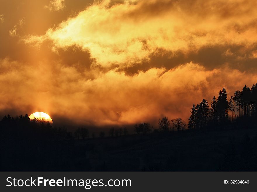 Silhouette Photo of Trees during Sunset