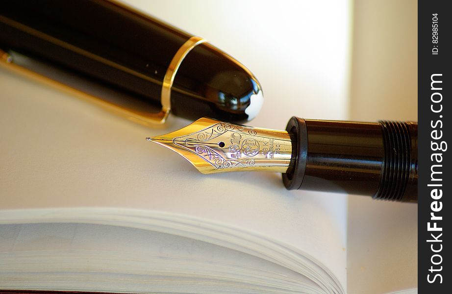 Gold and Silver Nib Black Holder Pen