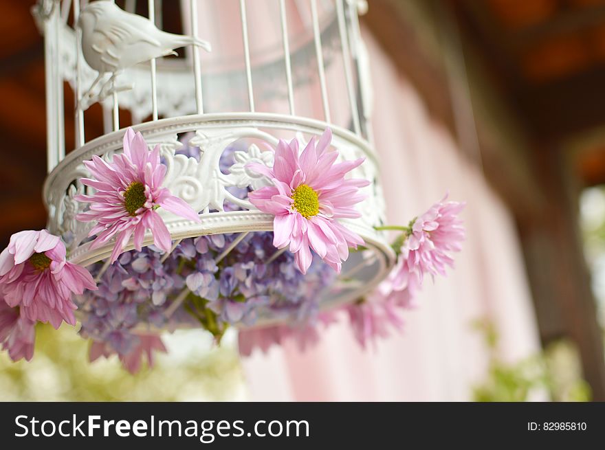 White metal birdcage decorated with flowers hanging indoors. White metal birdcage decorated with flowers hanging indoors.