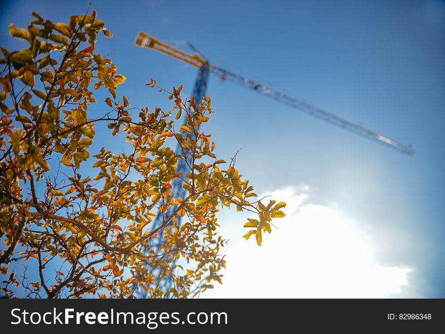 Construction crane over tree tops against sunny blue skies. Construction crane over tree tops against sunny blue skies.