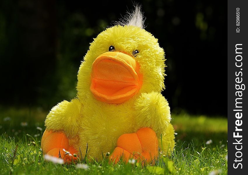 Yellow Plush Duck Toy