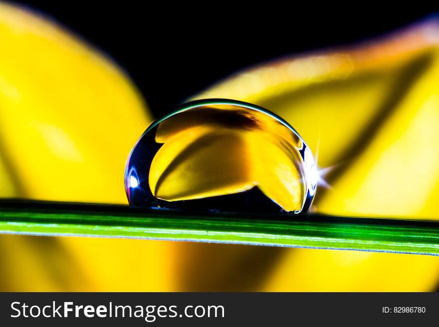 Water Drop In Green Leaf