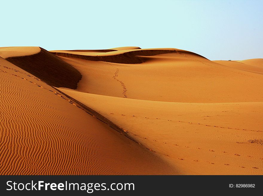 Landscape Photography of Desert