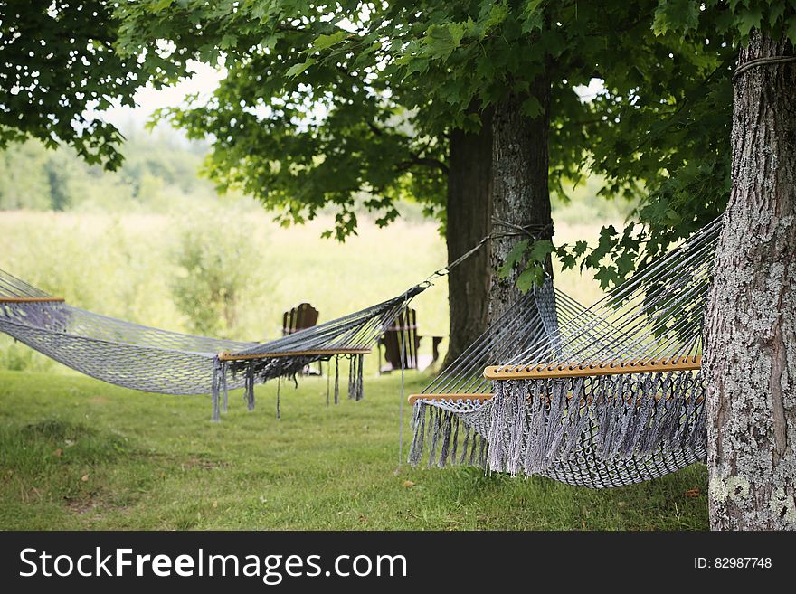 A pair of hammocks between the trees on the countryside. A pair of hammocks between the trees on the countryside.