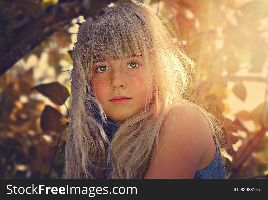 A portrait of a blond girl with blue eyes outdoor in nature, sunbeams falling on her hair. A portrait of a blond girl with blue eyes outdoor in nature, sunbeams falling on her hair.