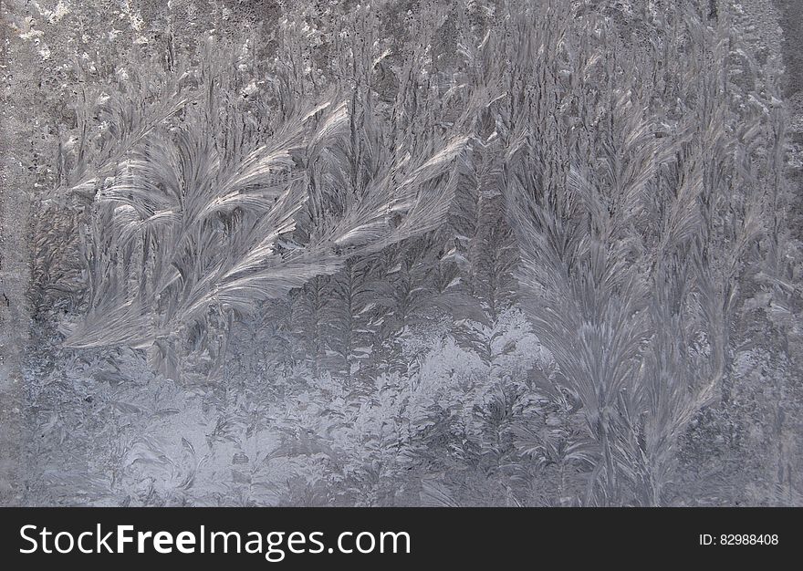 A frosted window in the winter.
