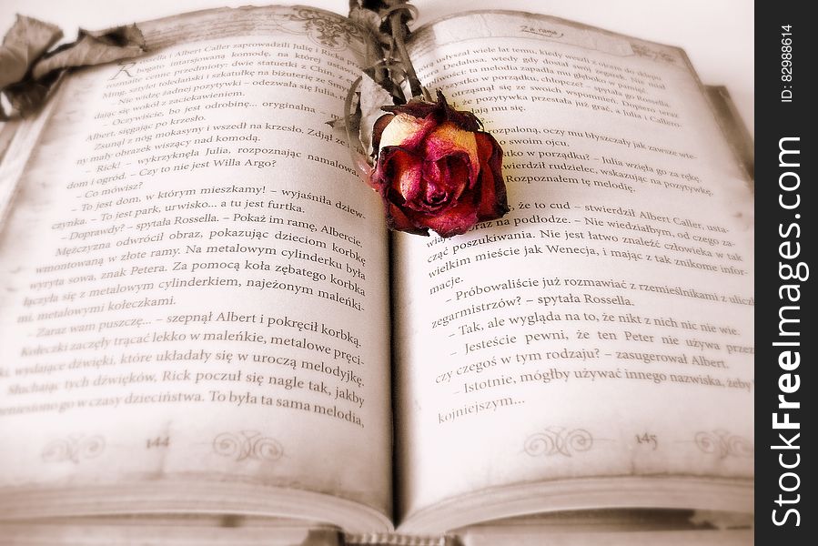 A dried rose on an open book. A dried rose on an open book.