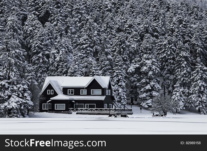 Snowy House Grayscale Photo
