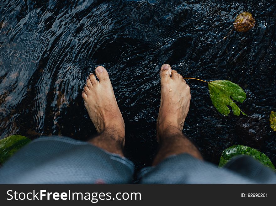 Close up of feet standing on rocks in water with green leaves. Close up of feet standing on rocks in water with green leaves.